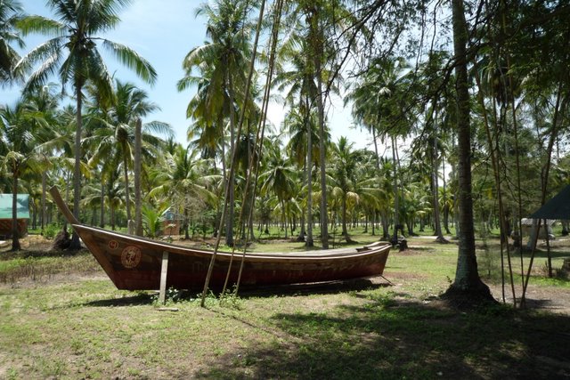 longtail-boat-thailand-wooden-boat.jpg